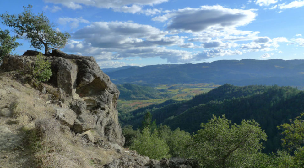 Insider Guide: Napa Valley, California