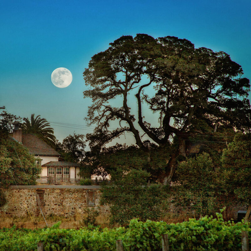 This Historic State Park Is Hosting Free Days This Month. Here’s How to Get Access.