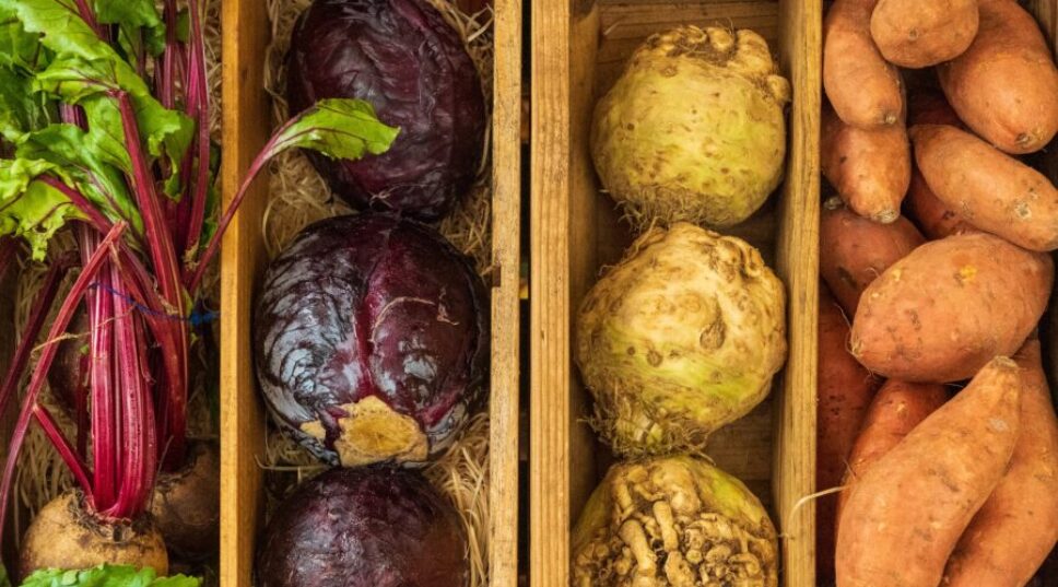 The Recipes You Should Cook This January 