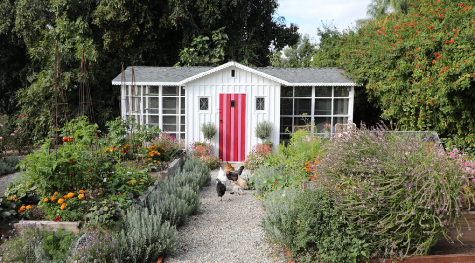 This Glamorous, Wallpapered Shack Puts the Chic in Chicken Coop