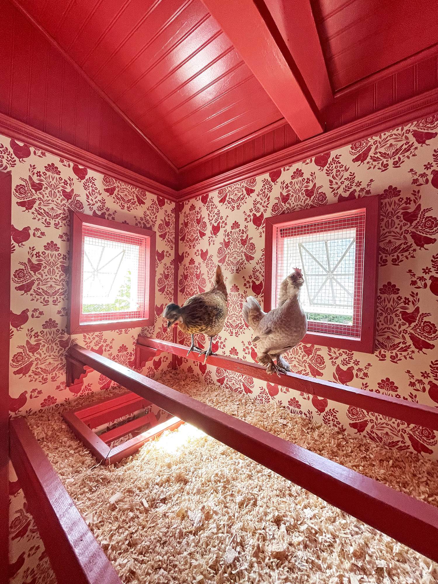 Kate Richards Chicken Coop Wallpaper Interior