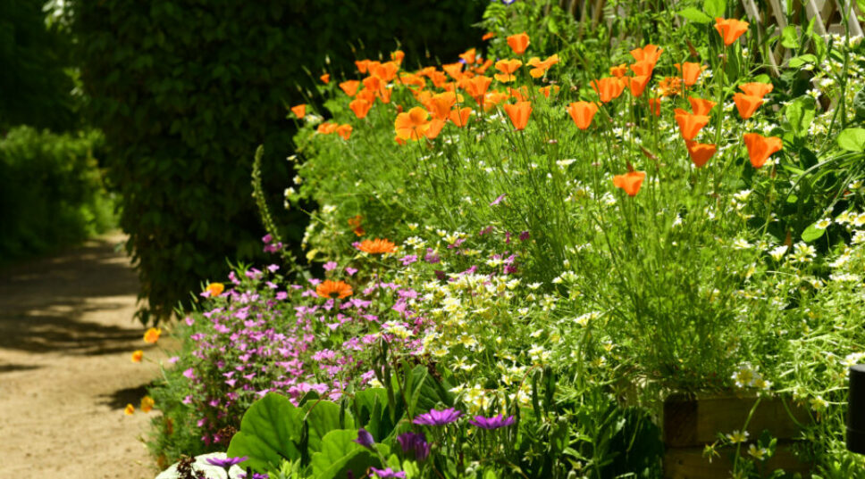 How to Keep Your Garden From Looking Ugly in the Winter