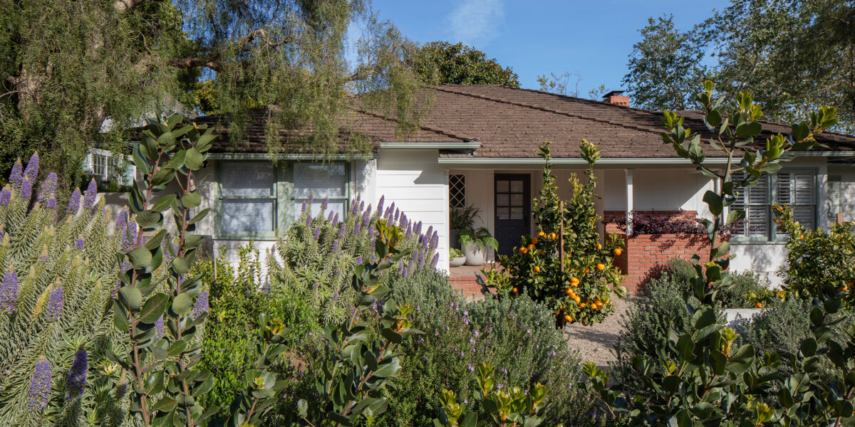 Lawn Removal Wild Canyon Landscapes