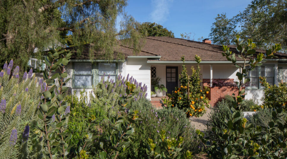 Now Is the Perfect Time to Tear out Your Lawn and Transform It into a Thriving, Eco-Friendly Garden