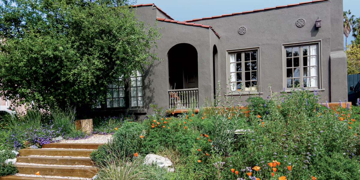 Front Yard Native Garden