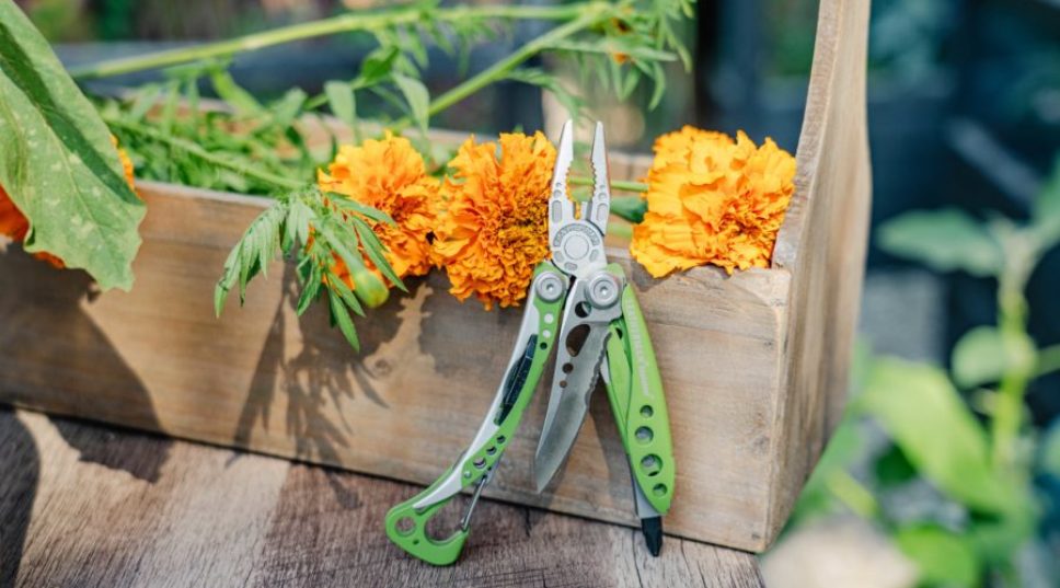 The Ultimate Holiday Gift for the Gardener in Your Life