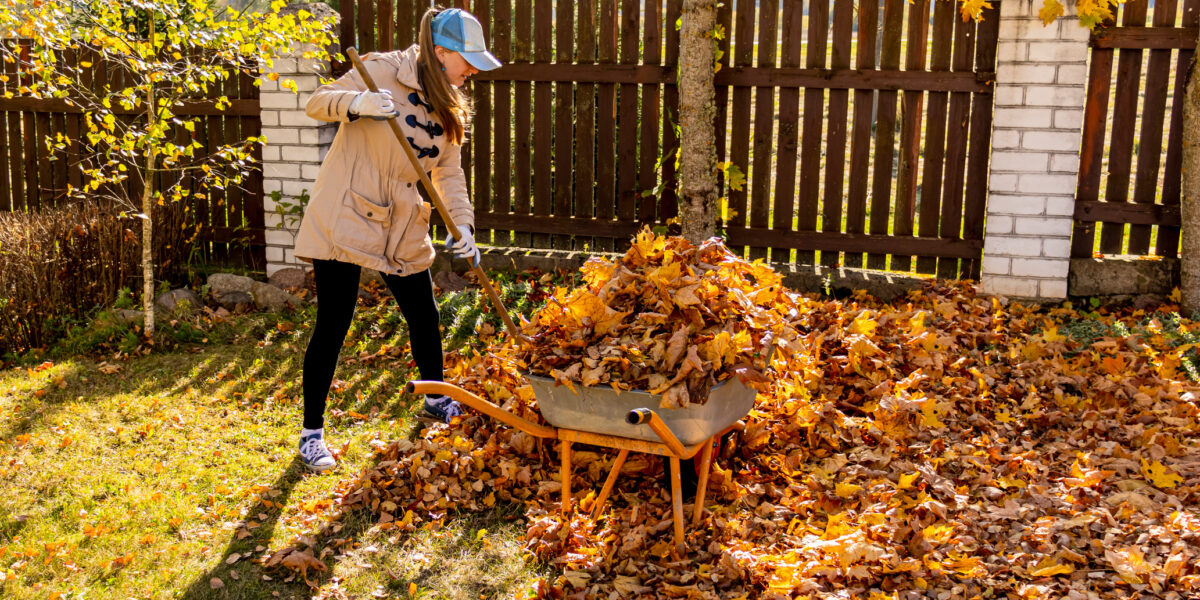 Leaf Pile