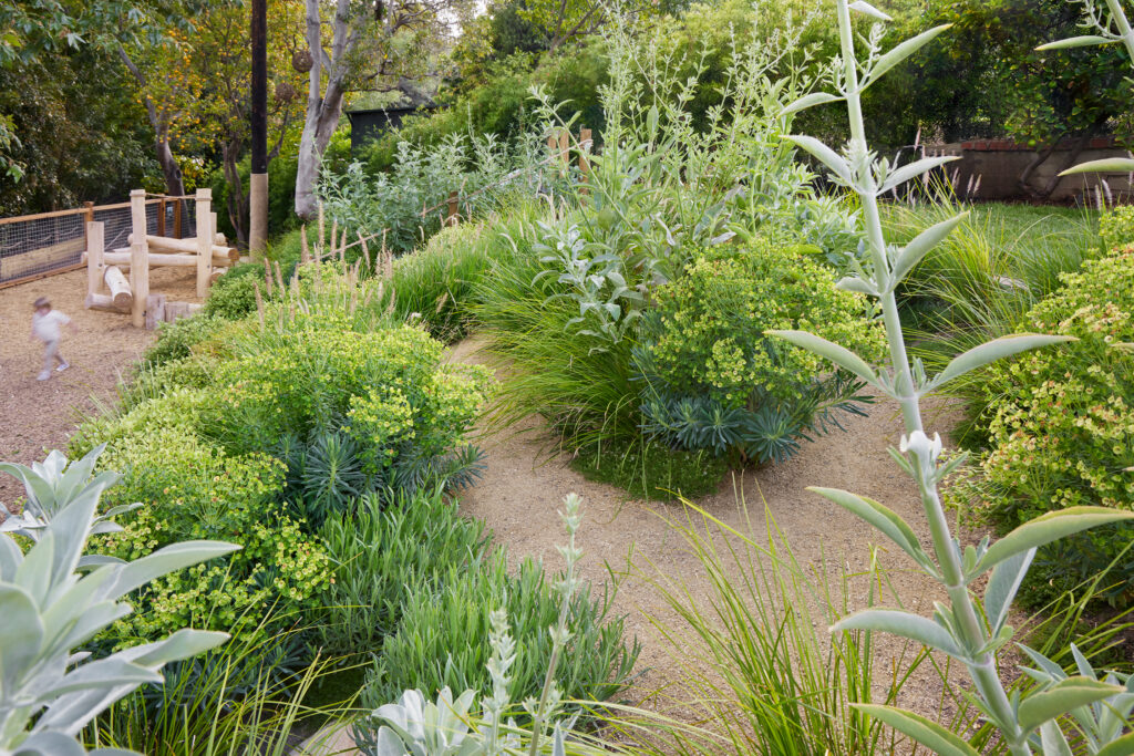 Lu - La Studios Santa Monica Garden Plants