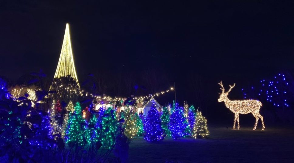 Lights, Ice, and Bites: Winter Festivals Happening in the West
