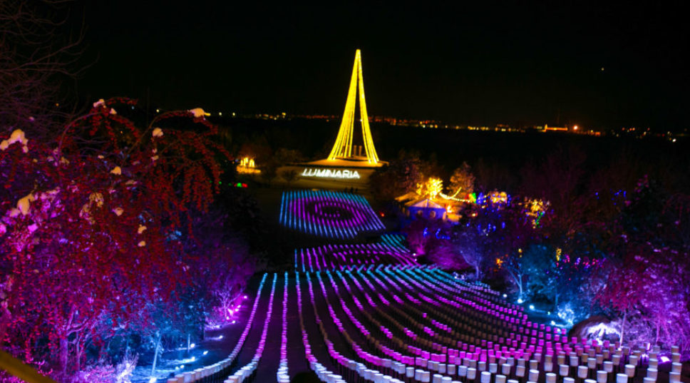 Take in a Dazzling Holiday Light Show at These Botanical Gardens