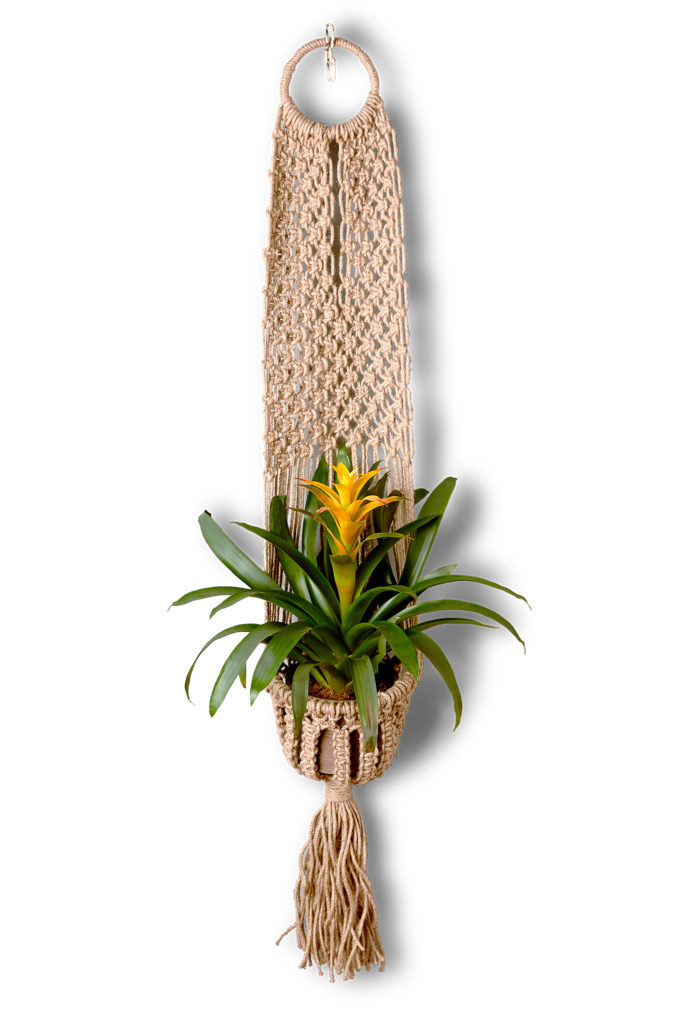 Macramé Hanging Plant Holder