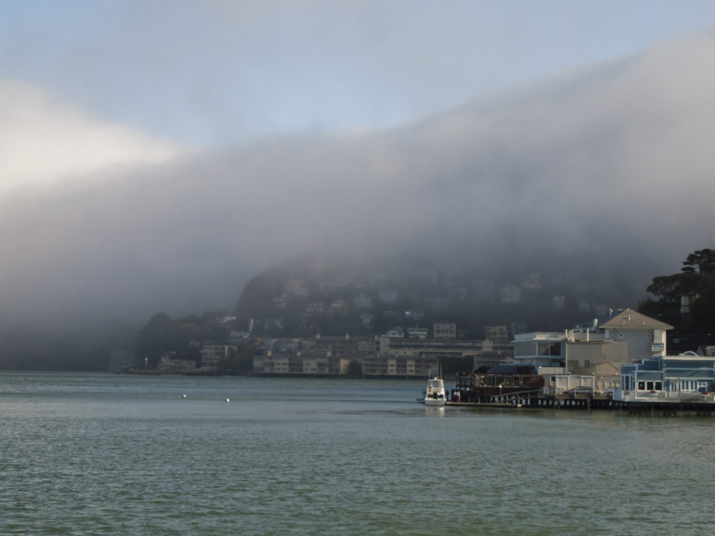 What Is the Marine Layer? A Few Key Facts to Know Sunset Magazine
