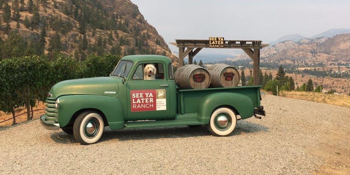 PetFriendly Wineries and Breweries Sunset Magazine