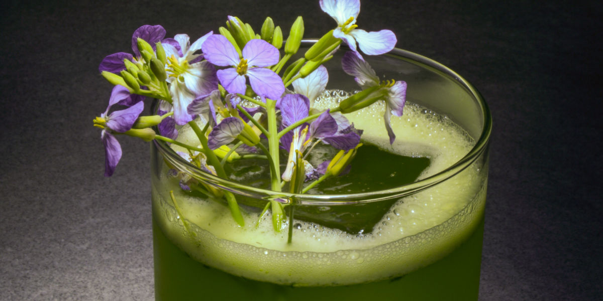 Roquette Cocktail Gin and Arugula Recipe - Sunset Magazine