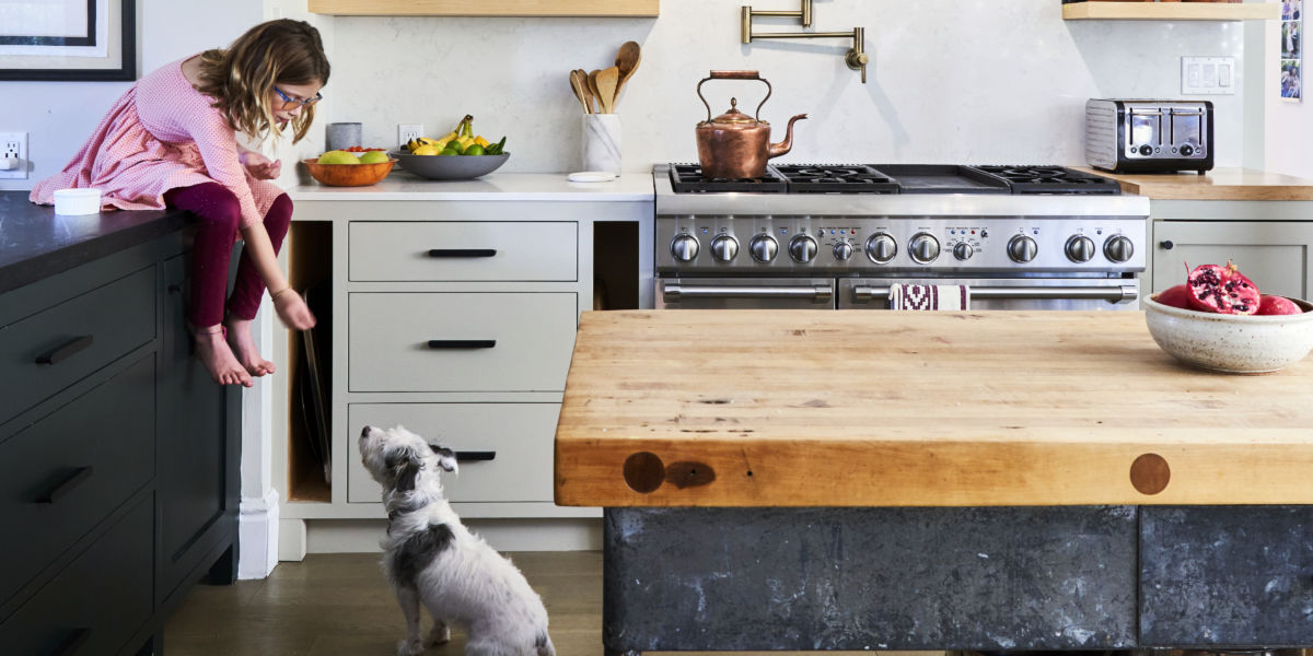 dog and cat friendly kitchen