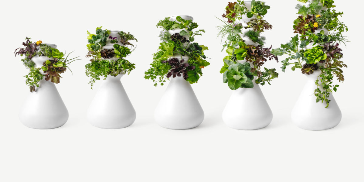 Hydroponic Hack: Lettuce Grow Farmstand Lineup