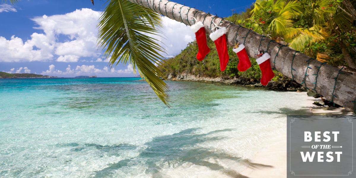 Palm Tree with Christmas Stockings
