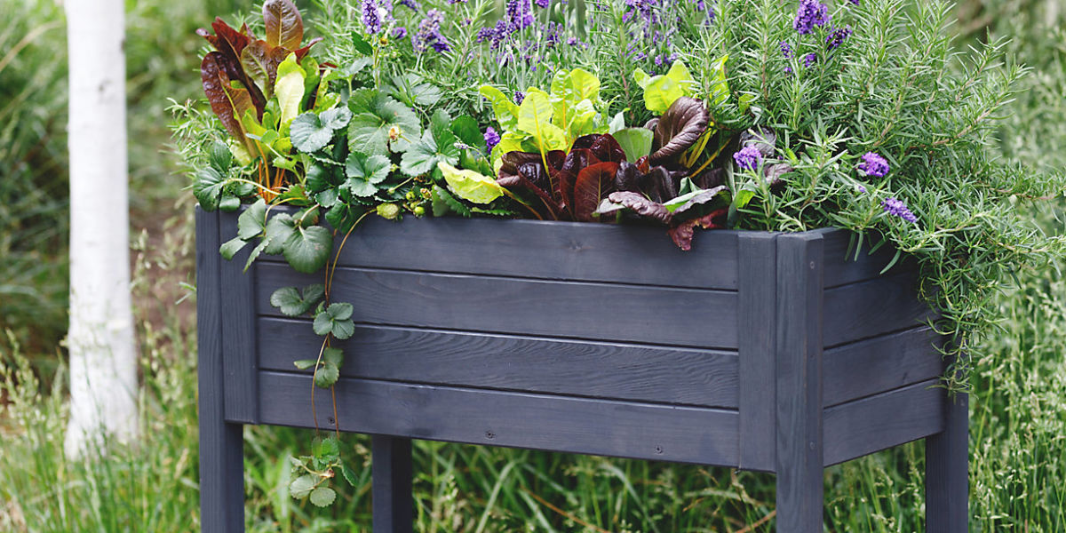 5 Container Gardens for Every Type of Gardener Sunset Magazine