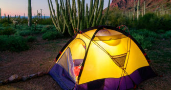 tent with light on in desert featuring cactus