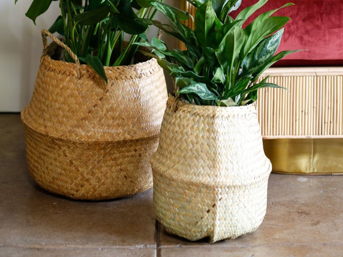 Folia Collective Seagrass Baskets