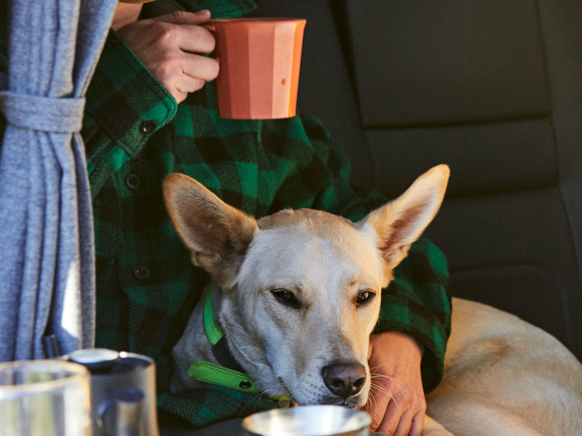 https://www.sunset.com/wp-content/uploads/medium_2x/drinking-coffee-with-a-dog-in-a-van.jpg