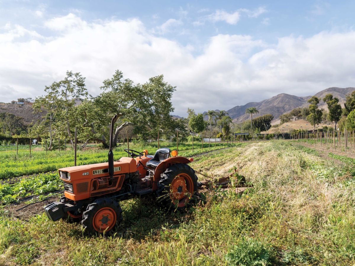 Thorne Farms Malibu Tractor