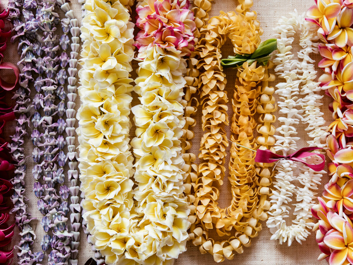 Flower Lei Needles Best Flower Site