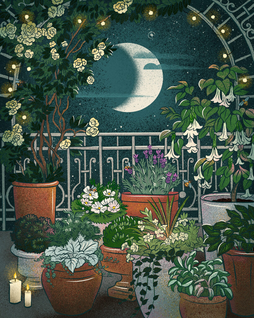 Moon Garden Artwork