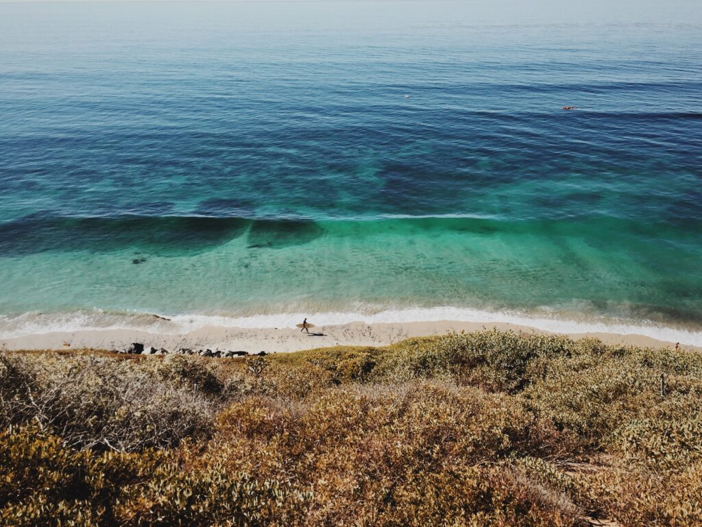 Moonlight State Beach