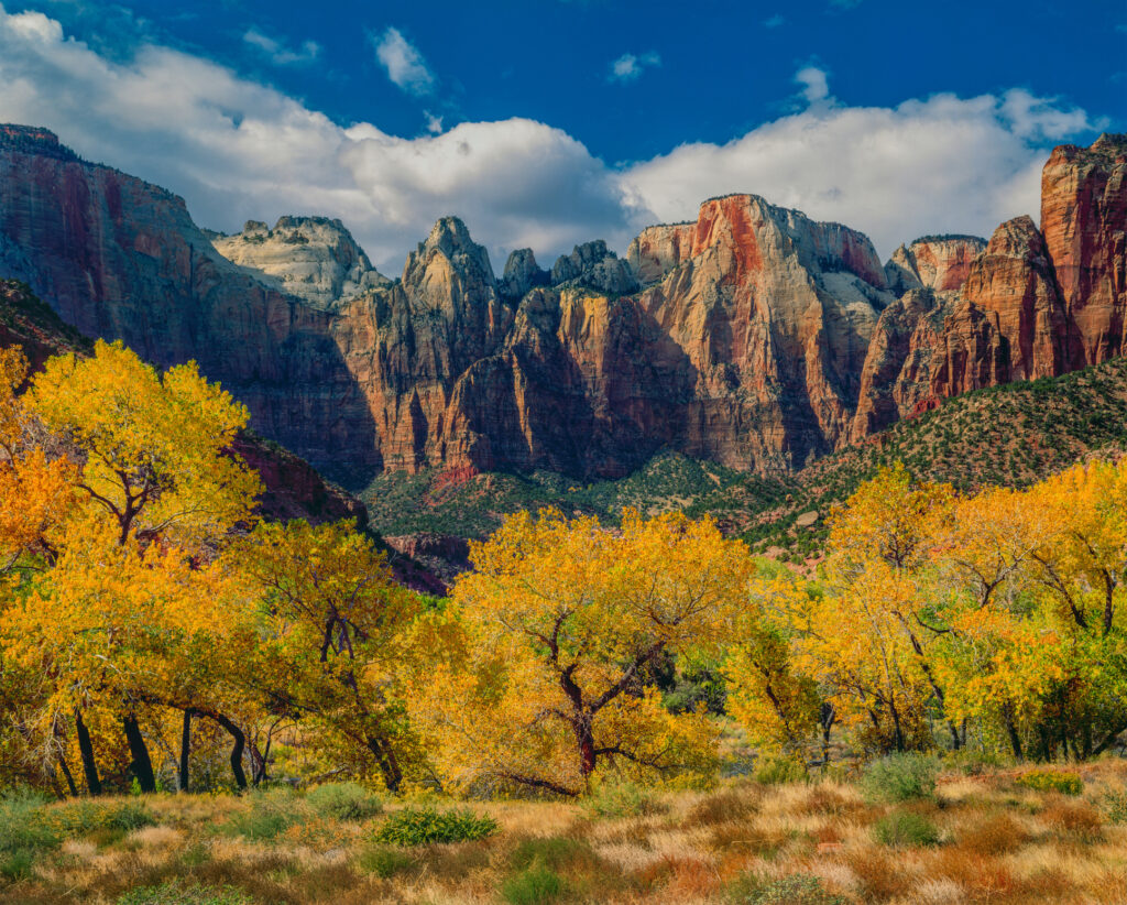 Court of the Patriarchs