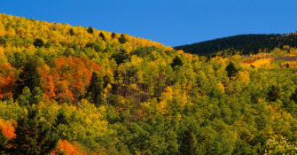 Santa Fe National Forest