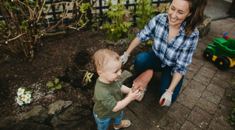 Don't Let the (Raised) Bed Bugs Bite: Garden Pest Remedies