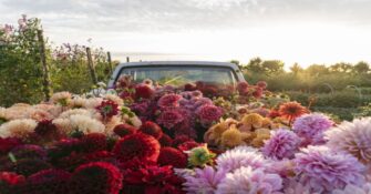 Truck Full of Flowers