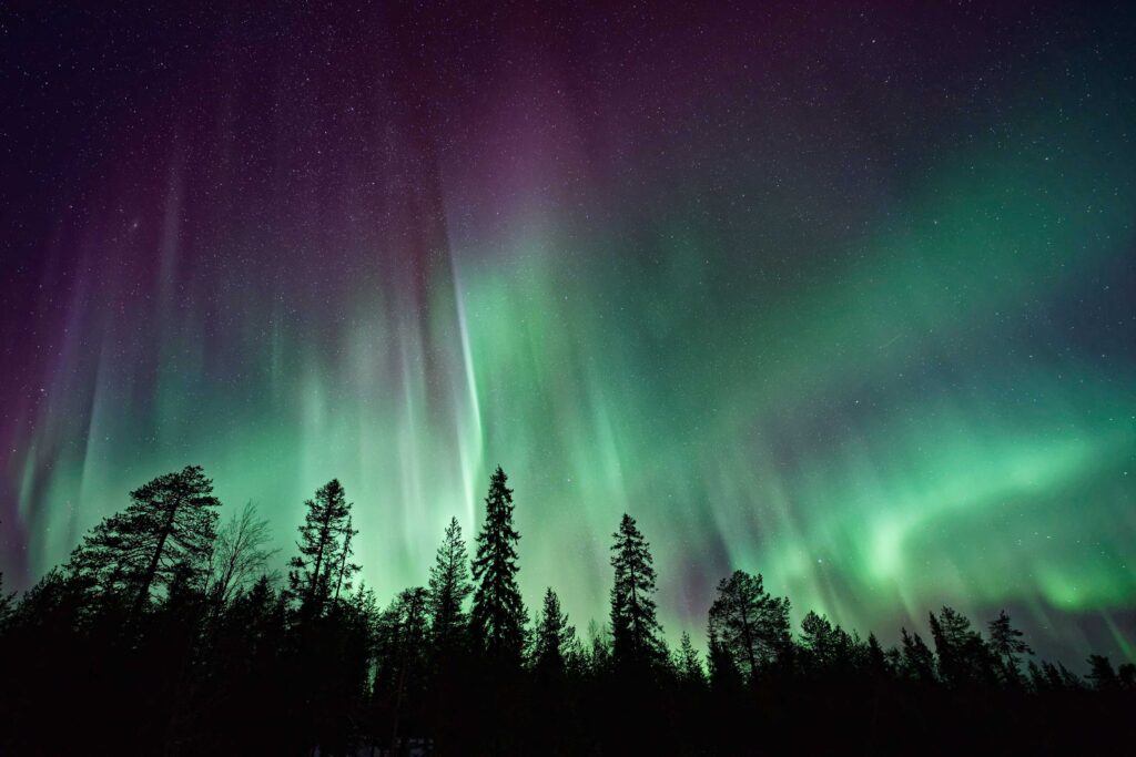 Aurora Borealis Over Trees