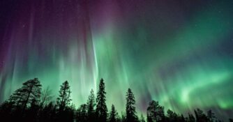 Aurora Borealis Over Trees