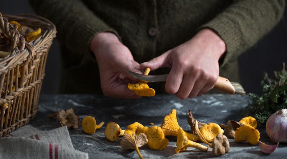 The Gear, the Books, and the Know-How to Finally Get Into Foraging