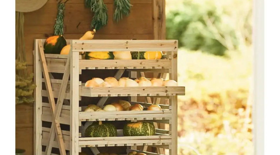 Storage Solutions to Enjoy Your Harvest All Year Long