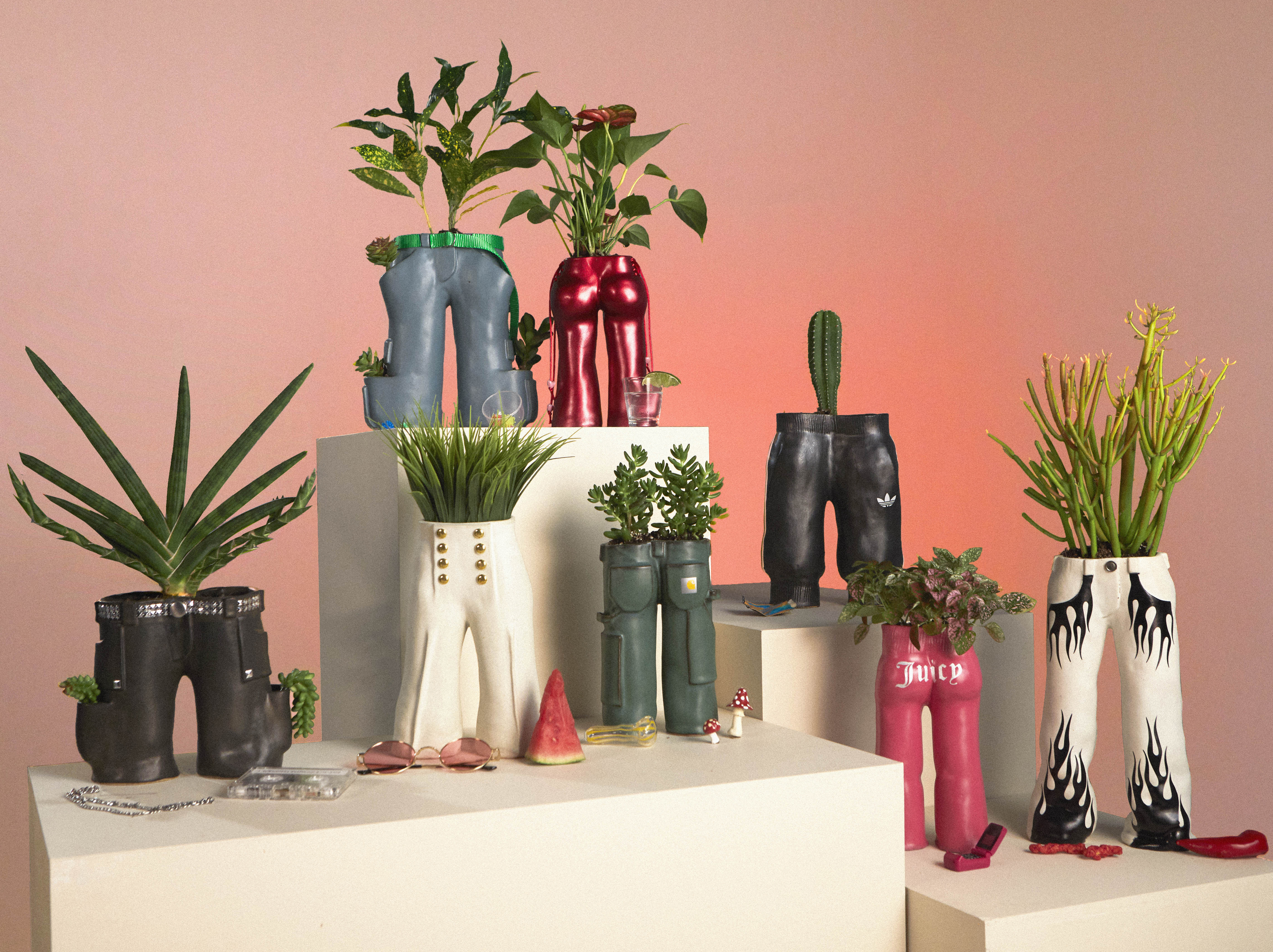 Pair of Plants Artist Pairs Pant Pots with Houseplants - Sunset Magazine