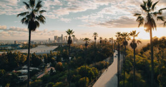 Palm Tree Street in Los Angeles