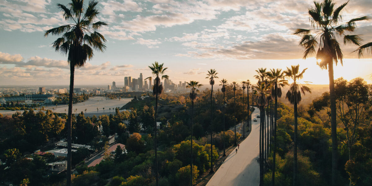 Palm Tree Street in Los Angeles