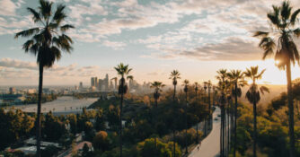 Palm Tree Street in Los Angeles