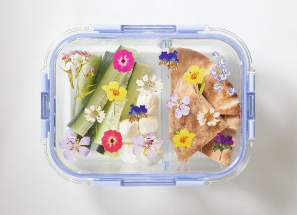 Urban Outfitters To-Go Container Featured Image