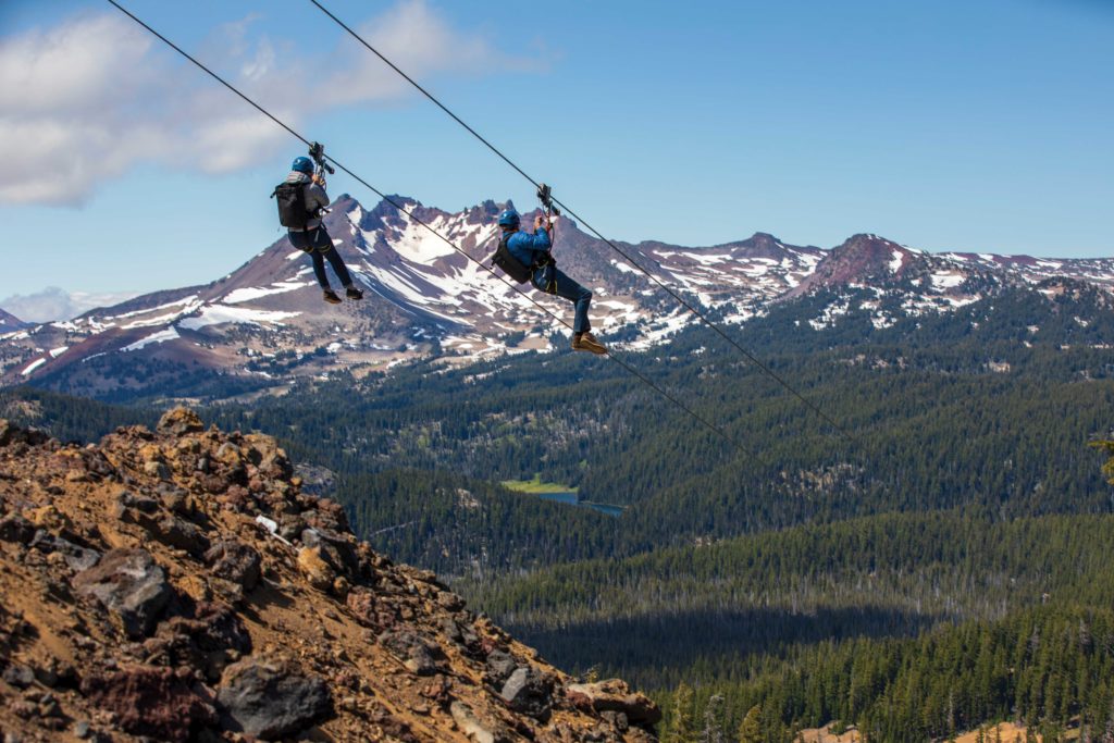 Soar Through the High Alpine