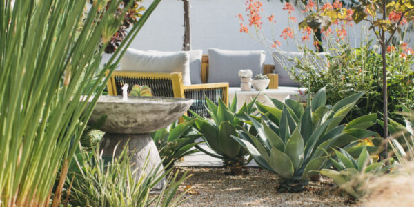 How to Design a Photogenic Garden, According to a Pro Photographer