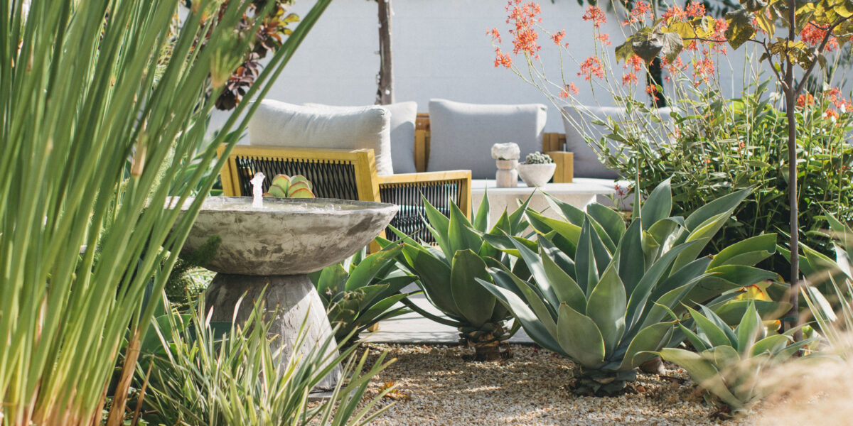 How to Design a Photogenic Garden, According to a Pro Photographer