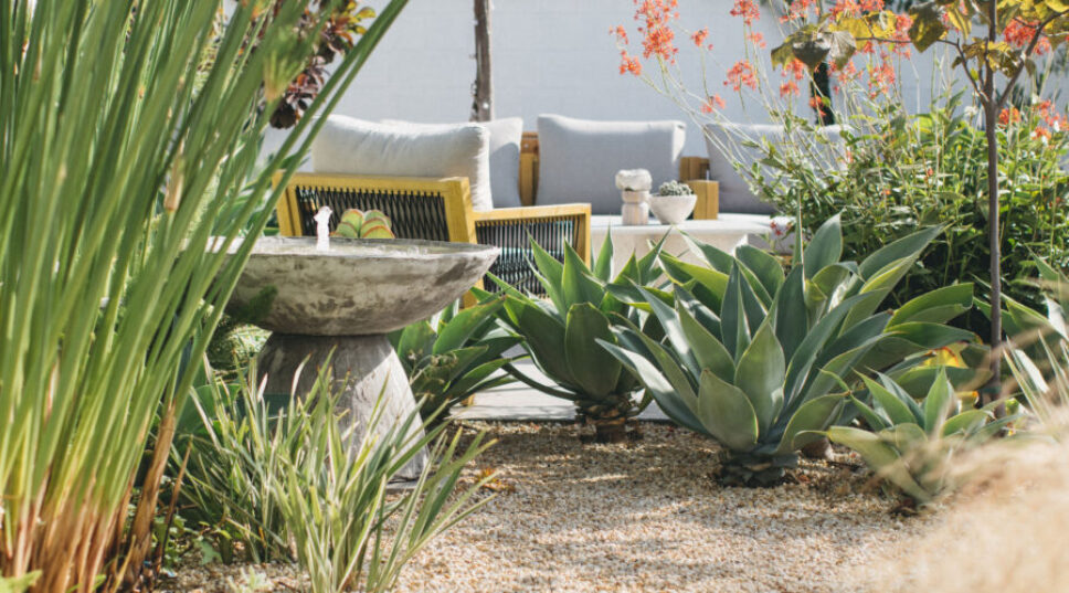 How to Design a Photogenic Garden, According to a Pro Photographer