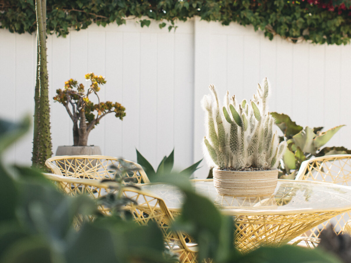 Think Like a Photographer