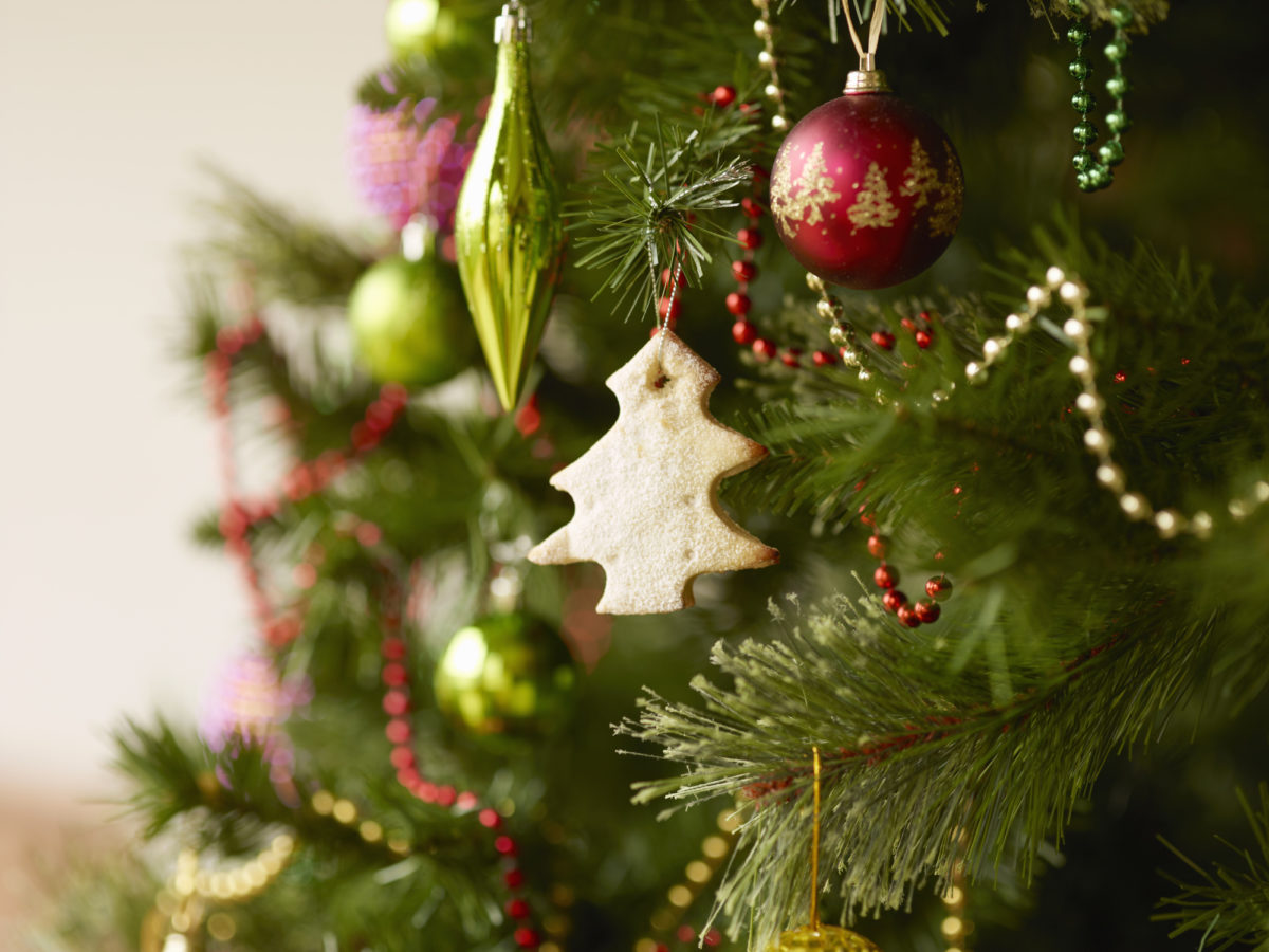 Close-up of Christmas Tree Branch with Ornaments