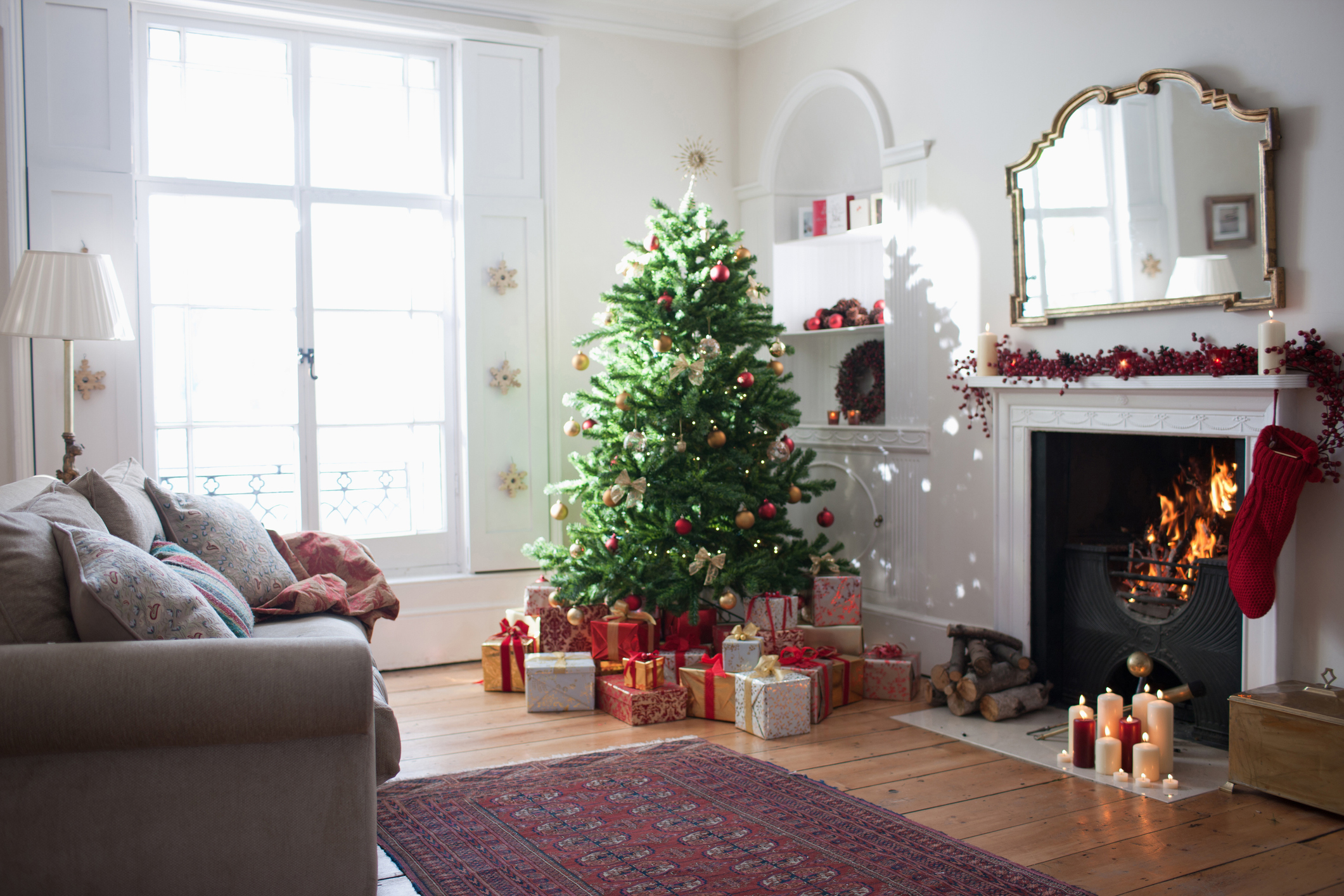 Christmas Trees Are More Expensive Than Ever This Year—Here's How to Find the Right One for You - Vimarsana News