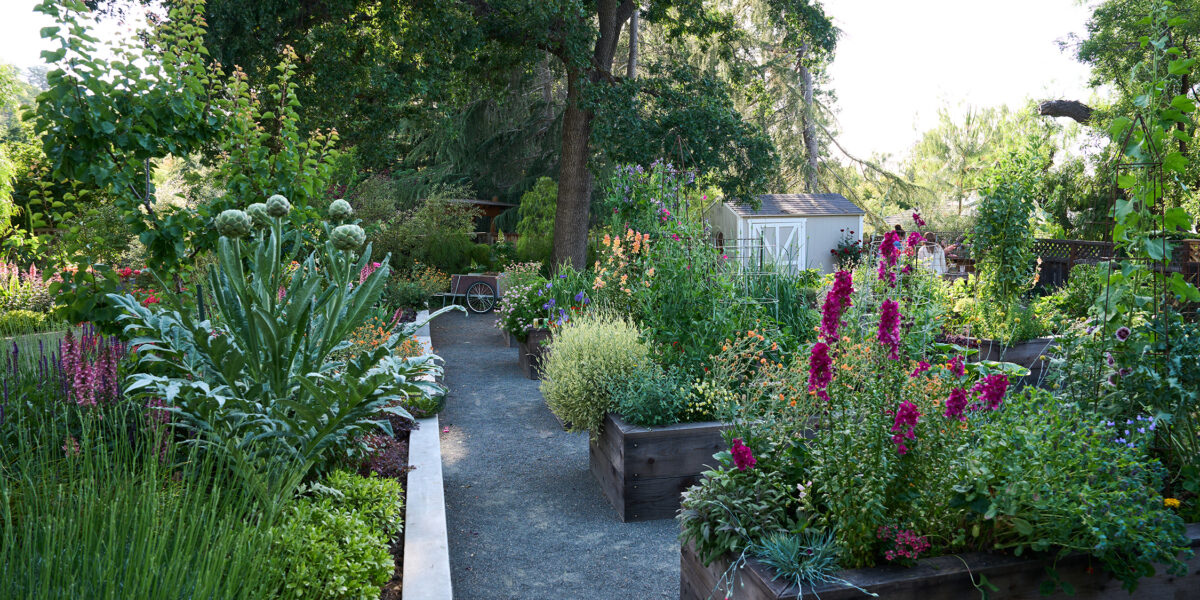 Pine House Edible Garden
